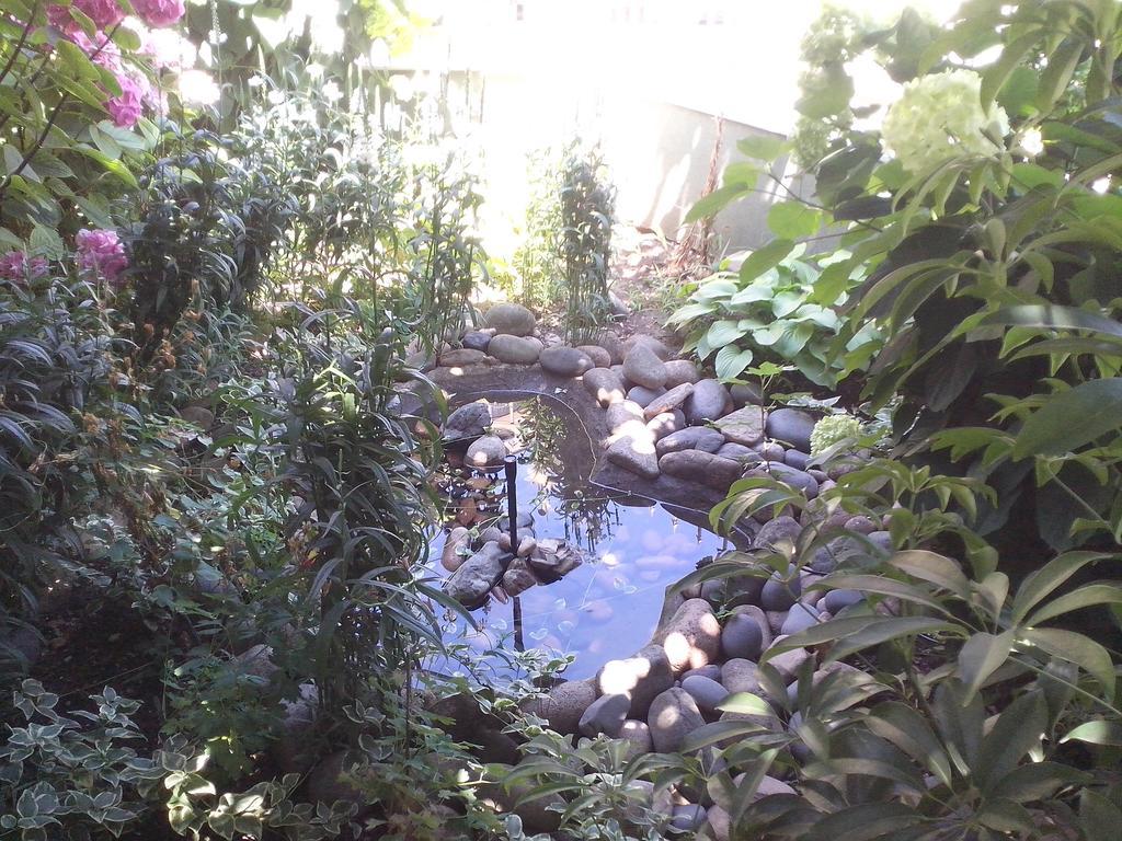 Guest House Krasi Черноморец Екстериор снимка